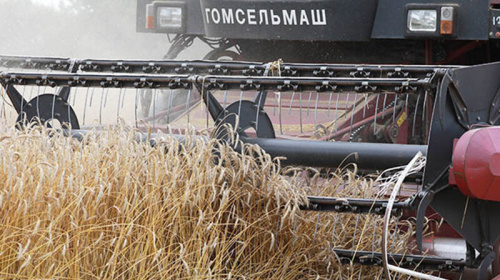 Belarus harvests over 11.1m tonnes of grain, including rapeseed and corn