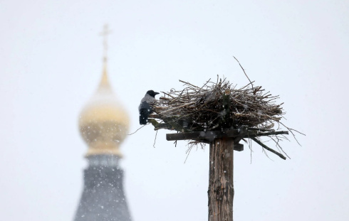 В 2025 году в Беларуси была зафиксирована одна из самых теплых октябрьских ночей 