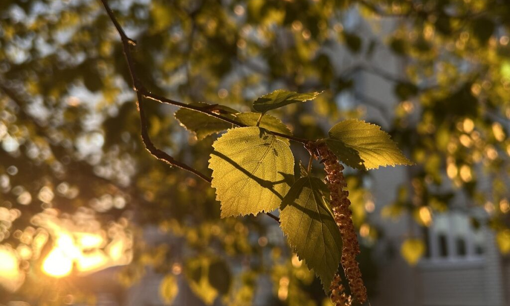 Ужо месцамі больш за 20 °С