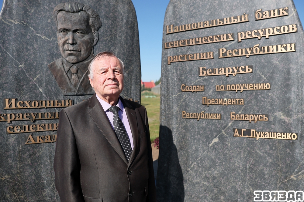 Айчынныя сарты збожжавых даюць ураджайнасць  да 150 цэнтнераў з гектара