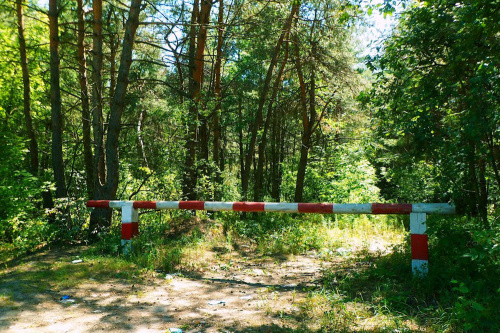 Абмежаванні на наведванне лясоў дзейнічаюць у 86 раёнах Беларусі