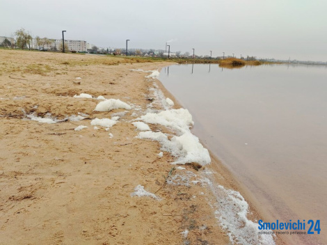 Што насамрэч плавае ў вадаёме пад Смалявічамі