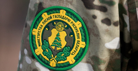 «Прыбралі амаль 900 тысяч кубаметраў драўніны»: у Мінлясгасе расказалі аб выкананні даручэння Прэзідэнта