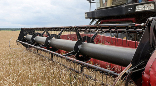 Belarus’ grain harvest 99% complete