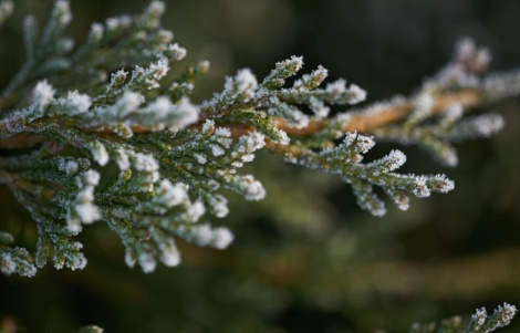 Уначы да мінус 18 °С