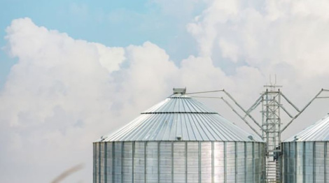 У Зімбабвэ запусцілі разумныя збожжасховішчы са штучным інтэлектам