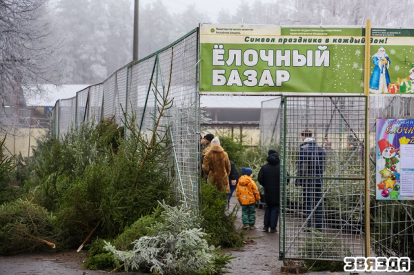 Сезон ёлачных кірмашоў праходзіць у Мінску