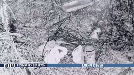 Гомельскія сышчыкі раскрылі забойства 9-гадовай дзяўчынкі. Яно адбылося больш за 30 гадоў таму