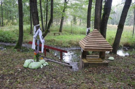 Навялі парадак — і ў верасні каля гаючай крыніцы зацвілі пралескі