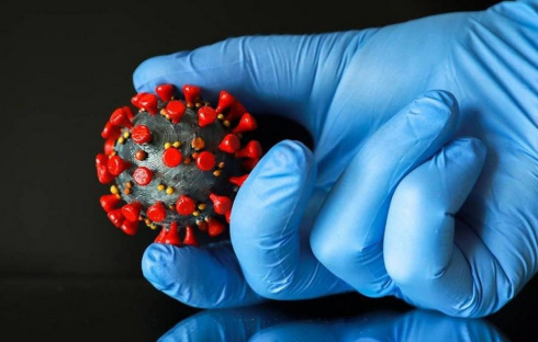 Минздрав: новый вариант коронавируса «Стратус» не вызывает более тяжелого течения болезни