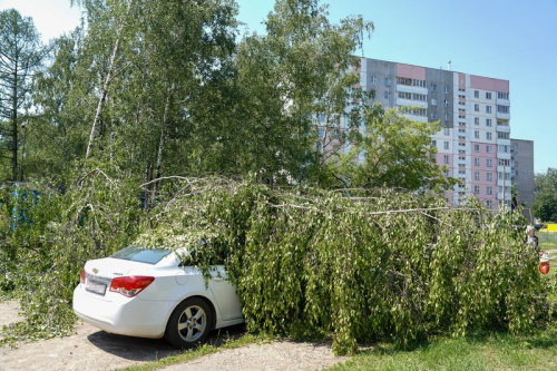 У ноч на 10 ліпеня ў выніку праходжання па Беларусі навальнічнага фронту найбольш пацярпелі Віцебская і Магілёўская вобласці