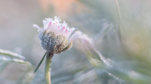 Чакаецца моцны вецер і галалёдзіца