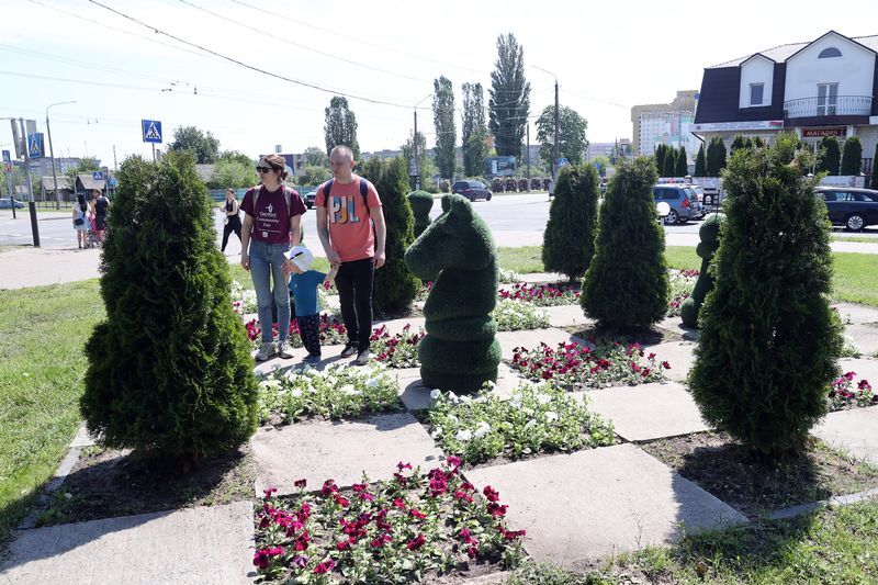 Gomel launches flower planting initiative