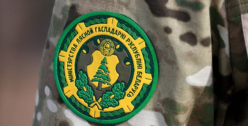 Минлесхоз: Задача номер один — подготовка почвы под будущие лесопосадки