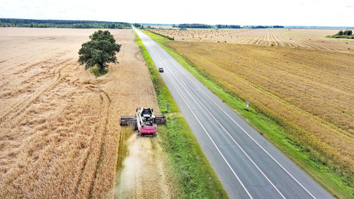 Па стане на раніцу 28 жніўня ў Віцебскай вобласці  ўбралі 73 % плошчаў збожжавых і зернебабовых