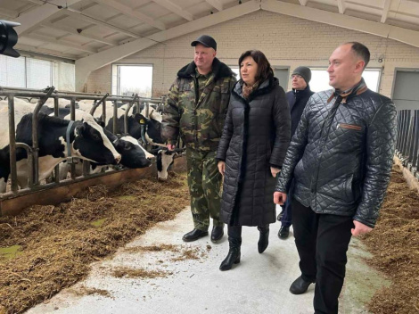 Старшыня Савета Рэспублікі праінспектавала шэраг сельгаспрадпрыемстваў у Верхнядзвінскім і Расонскім раёнах Віцебскай вобласці