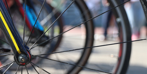 Белорусские велосипедисты завоевали 15 золотых наград домашнего Кубка сильнейших