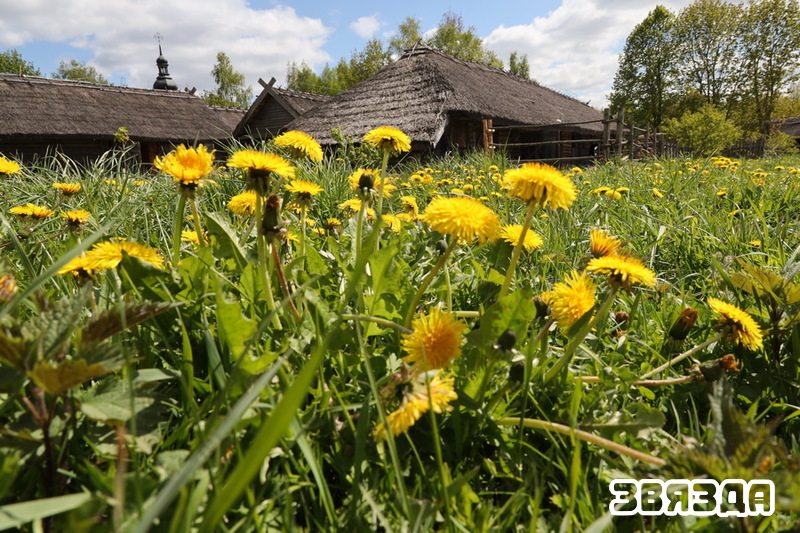 У музеі народнай архітэктуры і побыту гучалі песні Перамогі
