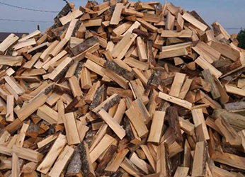 Мінаблвыканкам аб’явіў конкурс на распрацоўку сімвала чэмпіянату па колцы дроў