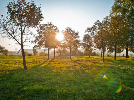 Распрацоўваюцца розныя кліматычныя сцэнарыі надвор'я
