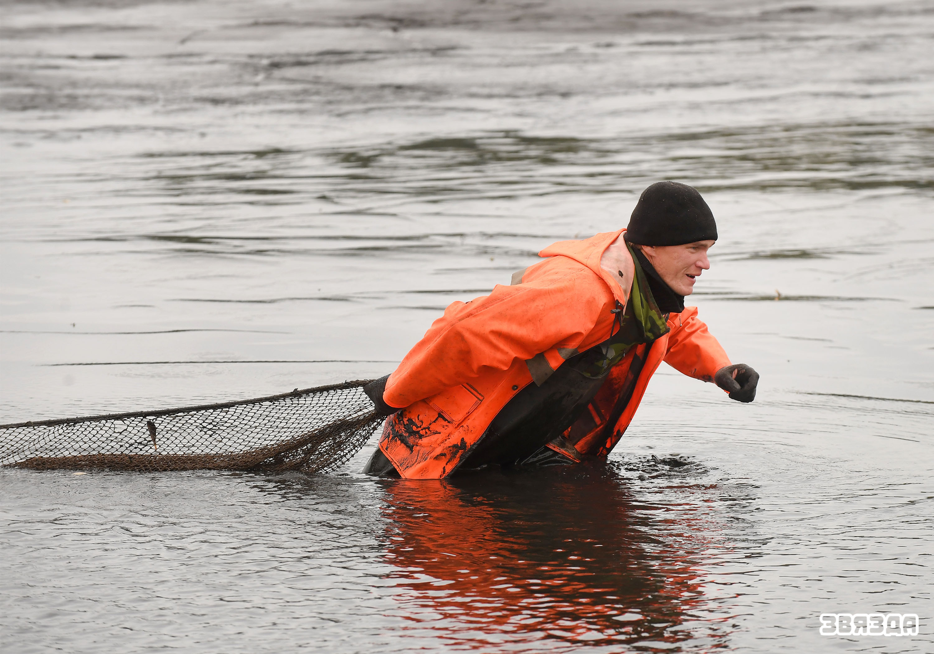 В одном из крупнейших в нашей стране-опытном рыбхозе «Белое» Житковичского района с последних дней сентября начался осенний вылов рыбы