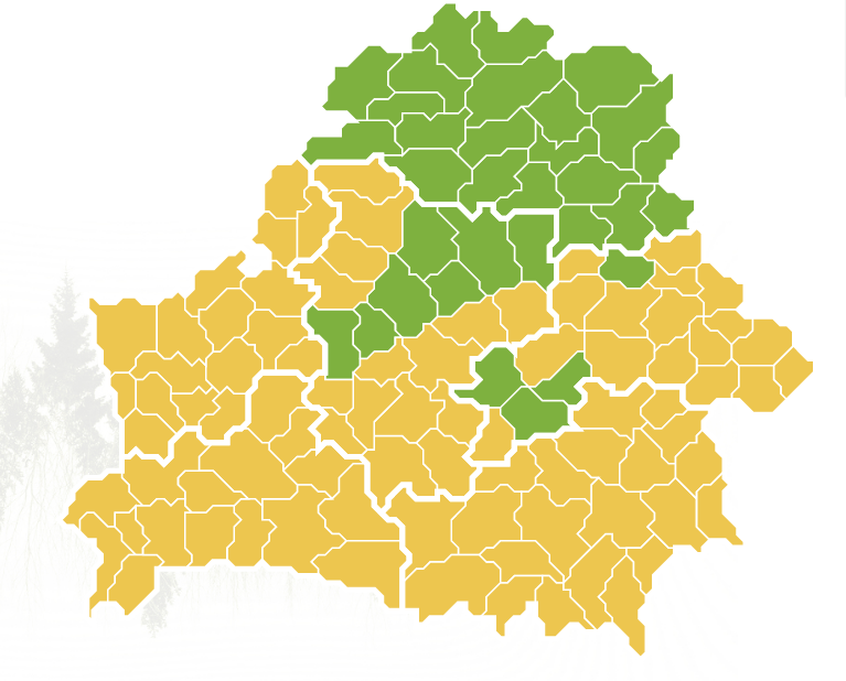 Абмежаванні на наведванне лясоў дзейнічаюць у 86 раёнах Беларусі
