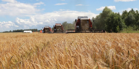 Як прафсаюз АПК Гродзеншчыны клапоціцца аб работніках сельскагаспадарчай галіны