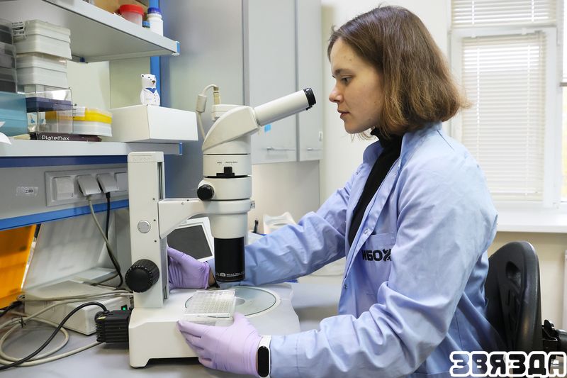 Вучоныя Беларусі і Расіі ствараюць прататыпы інавацыйных лекаў