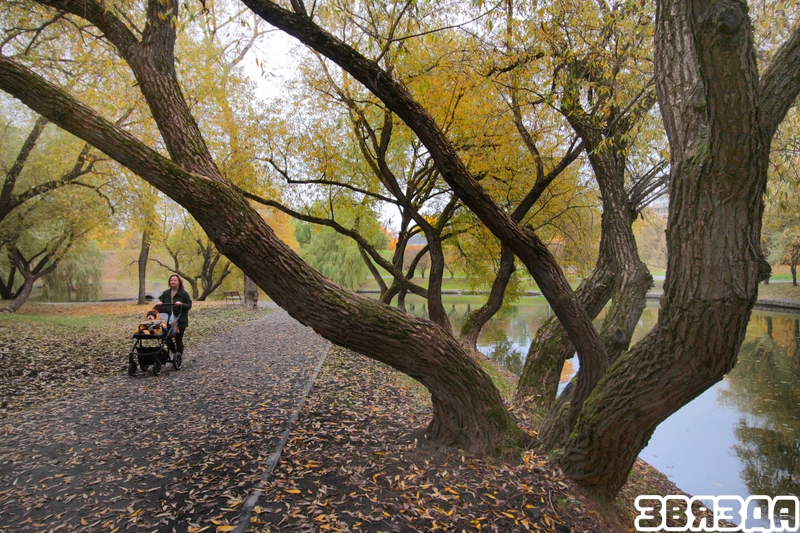 Carlson and his friends came to the park