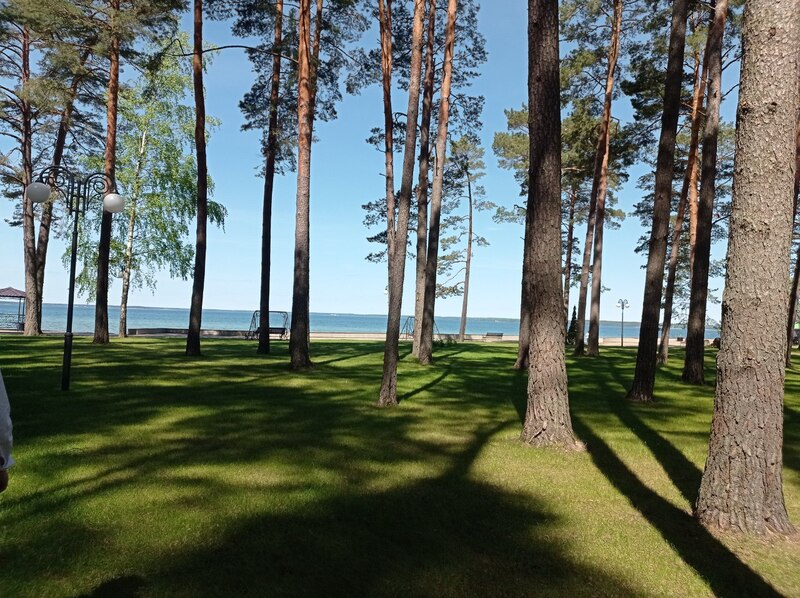 У чым сакрэт поспеху беларускіх санаторыяў