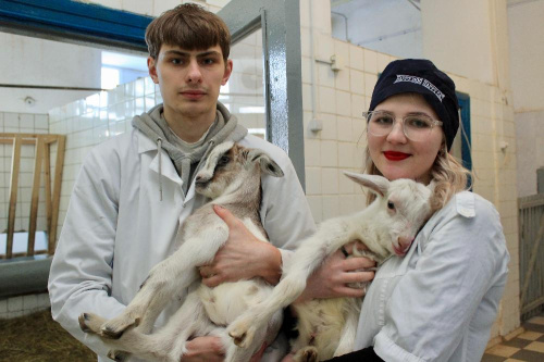 Як адаптуюцца да студэнцкага жыцця першакурснікі Віцебскай ветакадэміі