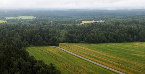 Лукашенко: В Беларуси установят полный запрет на отчуждение земель сельхозназначения