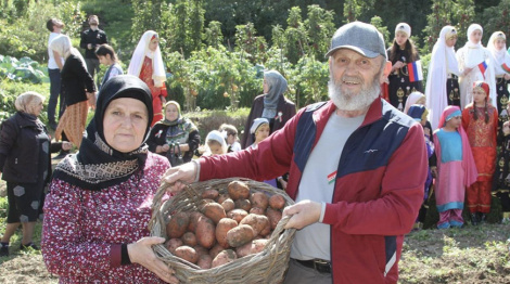Бульба ад Лукашэнкі — у аснове стравы. Як у Дагестане праходзіць Дзень беларускіх дранікаў