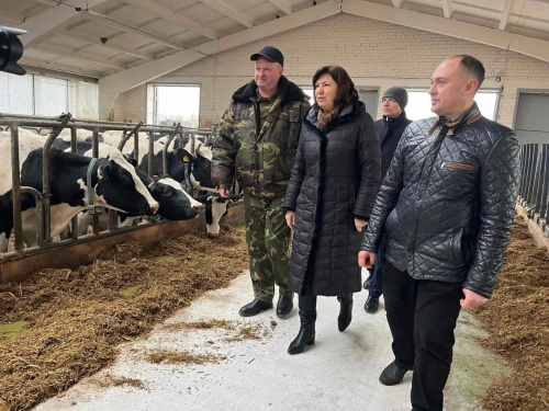 Старшыня Савета Рэспублікі праінспектавала шэраг сельгаспрадпрыемстваў у Верхнядзвінскім і Расонскім раёнах Віцебскай вобласці