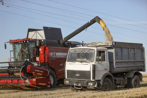 Дажджы ўскладняюць правядзенне жніва