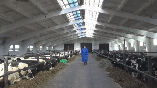 Пацікавіліся, што робіцца ў Шклоўскім раёне, каб ён стаў прыкладам для іншых