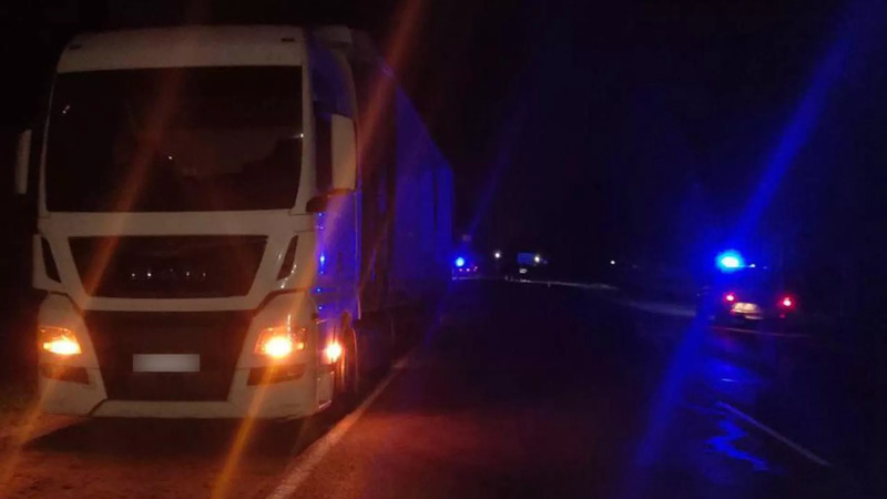 Пешаход загінуў пад коламі фуры ў Магілёўскай вобласці