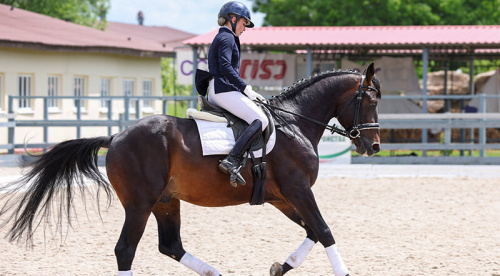 Ratomka hosting CIS Youth Dressage Championship