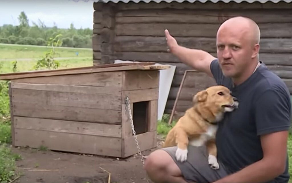 У Магілёве вецер панёс будку з сабакам у поле