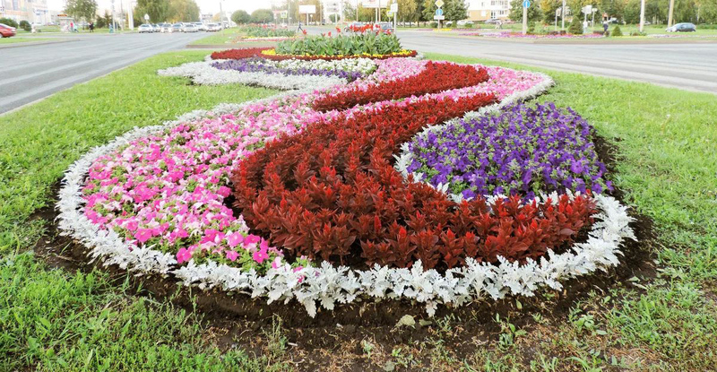 Чым упрыгожаць вуліцы і двары Беларусі?