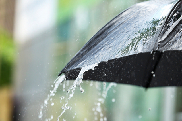 Дажджы і навальніцы па захадзе Беларусі чакаюцца 4 жніўня