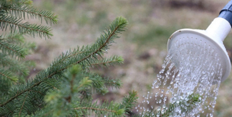 Рэспубліканскі суботнік прайшоў у Беларусі