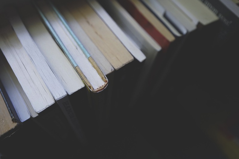 Кнігі з Элісты — для айчынных бібліятэк