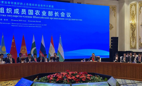 Minister: Belarus is ready to deepen agricultural cooperation with SCO countries