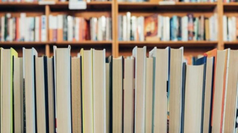 Плённа супрацоўнічаюць бібліятэкары Пскова і Віцебска