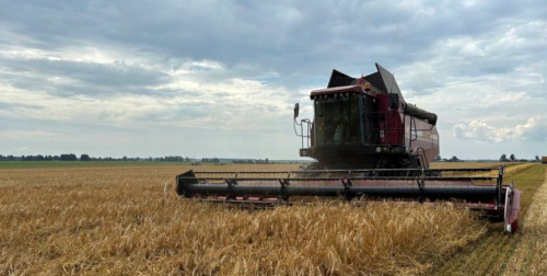 На ўборцы ўраджаю задзейнічаны 183 маладзёжныя экіпажы