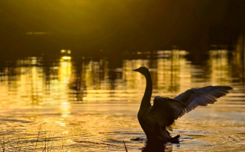 Зима уже на пороге? Какой будет погода на неделе с 27 октября по 2 ноября 