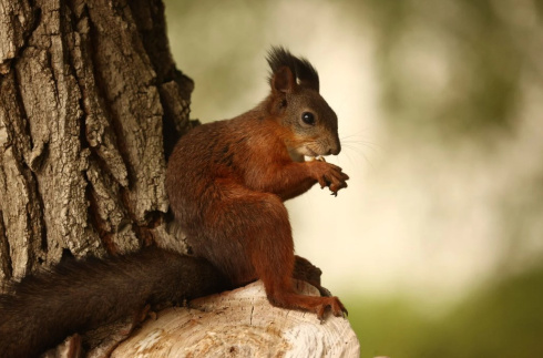 Возможен туман и до +4°С. Какой будет погода в Беларуси 28 ноября