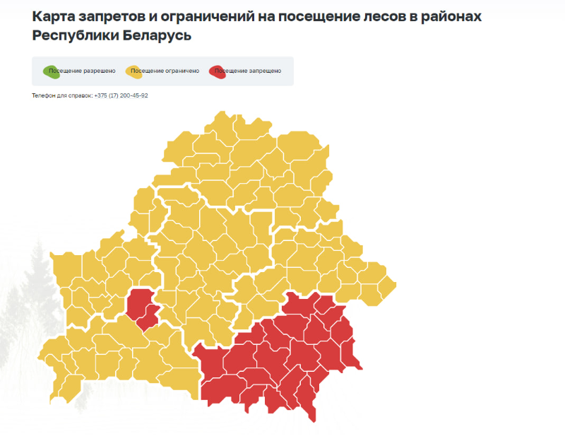 Забароны на наведванне лясоў уведзены па ўсёй Гомельскай вобласці
