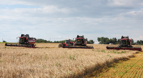 Belarus’ grain harvest reaches 1.75m tonnes